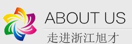 公司簡介